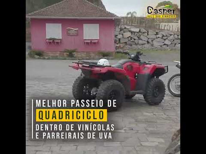 QUADRICICLO